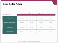 Sales the big picture sales strategies ppt powerpoint presentation infographic template