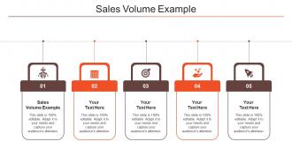 Sales Volume Example Ppt Powerpoint Presentation Show Vector Cpb