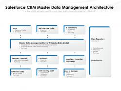 Salesforce crm master data management architecture