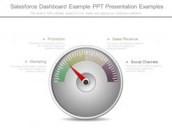 Salesforce Dashboard Example Ppt Presentation Examples