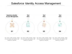 Salesforce identity access management ppt powerpoint presentation infographic template infographics cpb