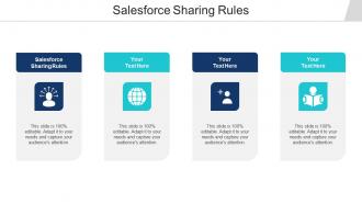 Salesforce Sharing Rules Ppt Powerpoint Presentation Show Examples Cpb