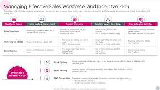 Salesperson Guidelines Playbook Managing Effective Sales Workforce And Incentive Plan