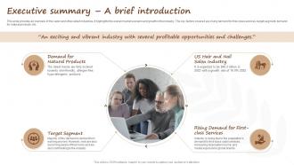 Salon Start Up Business Executive Summary A Brief Introduction BP SS