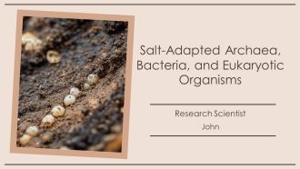 Salt Adapted Archaea Bacteria And Eukaryotic Organisms PPT Mockup AT