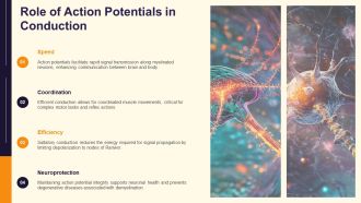 Saltatory Conduction Explained In Myelinated Neuron PPT Example AT Designed Compatible