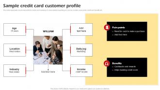 Sample Credit Card Customer Profile Building Credit Card Promotional Campaign Strategy SS V