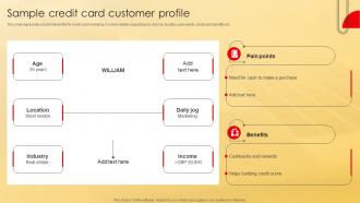 Sample Credit Card Customer Profile Deployment Of Effective Credit Stratergy Ss