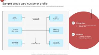 Sample Credit Card Customer Profile Introduction Of Effective Strategy SS V