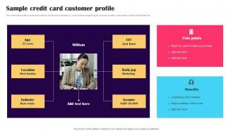 Sample Credit Card Customer Profile Promotion Strategies To Advertise Credit Strategy SS V
