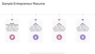 Sample Entrepreneur Resume In Powerpoint And Google Slides Cpb