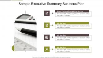 Sample Executive Summary Business Plan In Powerpoint And Google Slides Cpb