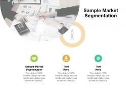 Sample market segmentation ppt powerpoint presentation outline templates cpb