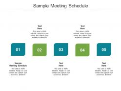 Sample meeting schedule ppt powerpoint presentation summary vector cpb