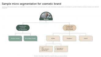 Sample Micro Segmentation For Cosmetic Brand Effective Micromarketing Guide