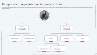 Sample Micro Segmentation For Cosmetic Brand Implementing Micromarketing To Minimize MKT SS V