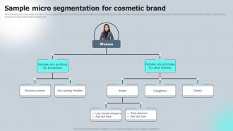 Sample Micro Segmentation For Cosmetic Brand Macro VS Micromarketing Strategies MKT SS V