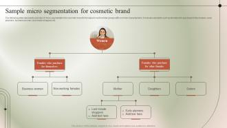 Sample Micro Segmentation For Cosmetic Brand Micromarketing Guide To Target MKT SS