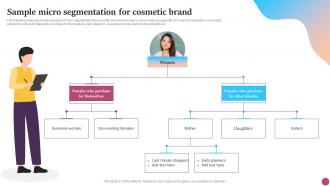Sample Micro Segmentation For Cosmetic Strategic Micromarketing Adoption Guide MKT SS V