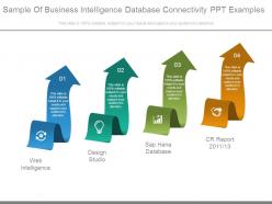 Sample Of Business Intelligence Database Connectivity Ppt Examples