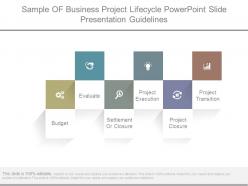 Sample of business project lifecycle powerpoint slide presentation guidelines