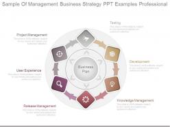 Sample of management business strategy ppt examples professional