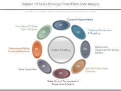 Sample of sales strategy powerpoint slide images