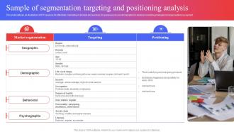 Sample Of Segmentation Targeting And Positioning Target Audience Analysis Guide To Develop MKT SS V