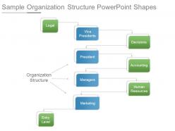 Sample organization structure powerpoint shapes