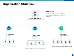 Sample Ppt Organizational Chart PowerPoint Presentation Slides