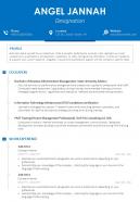 Sample resume cv template with profile summary