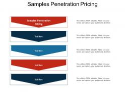 Samples penetration pricing ppt powerpoint presentation inspiration portrait cpb