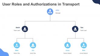 SAP Basis Transport Management System PPT Demonstration ACP Designed Customizable