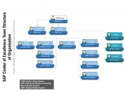 Sap center of excellence team structure of organization