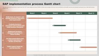 SAP Implementation Process Gantt Chart