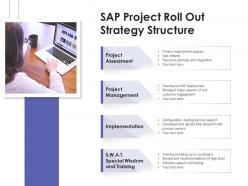 Sap project roll out strategy structure