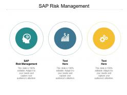 Sap risk management ppt powerpoint presentation ideas template cpb