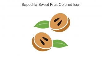 Sapodilla Sweet Fruit Colored Icon In Powerpoint Pptx Png And Editable Eps Format