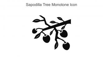 Sapodilla Tree Monotone Icon In Powerpoint Pptx Png And Editable Eps Format