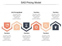 Sas pricing model ppt powerpoint presentation professional influencers cpb