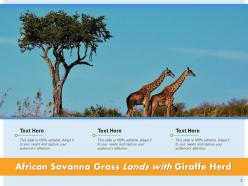 Savanna Landscape Sunrise Migration Tourist Wildebeest