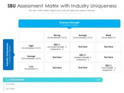 Sbu assessment matrix with industry uniqueness