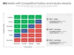 Sbu matrix with competitive position and industry maturity