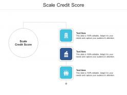 Scale credit score ppt powerpoint presentation layouts layout cpb