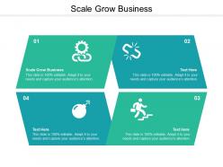 Scale grow business ppt powerpoint presentation ideas professional cpb