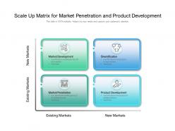 Scale up matrix for market penetration and product development