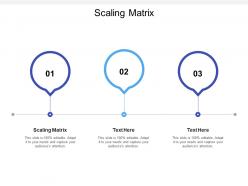 Scaling matrix ppt powerpoint presentation infographics infographics cpb