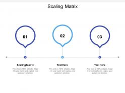 Scaling matrix ppt powerpoint presentation show template cpb