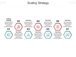 Scaling strategy ppt powerpoint presentation infographic template background designs cpb