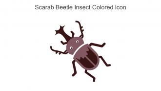Scarab Beetle Insect Colored Icon In Powerpoint Pptx Png And Editable Eps Format
